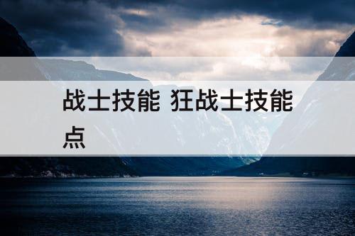 战士技能 狂战士技能点