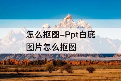 怎么抠图-Ppt白底图片怎么抠图