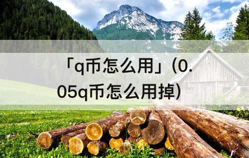 「q币怎么用」(0.05q币怎么用掉)