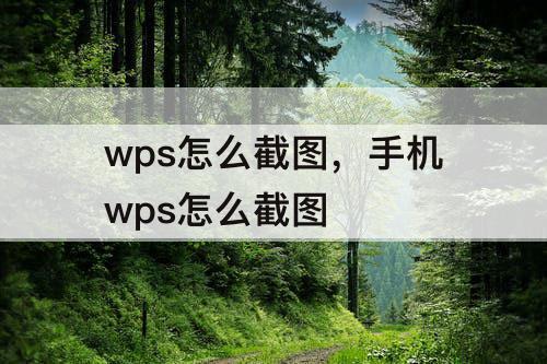wps怎么截图，手机wps怎么截图