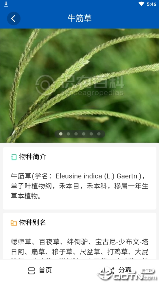 识农  v3.0.5图2