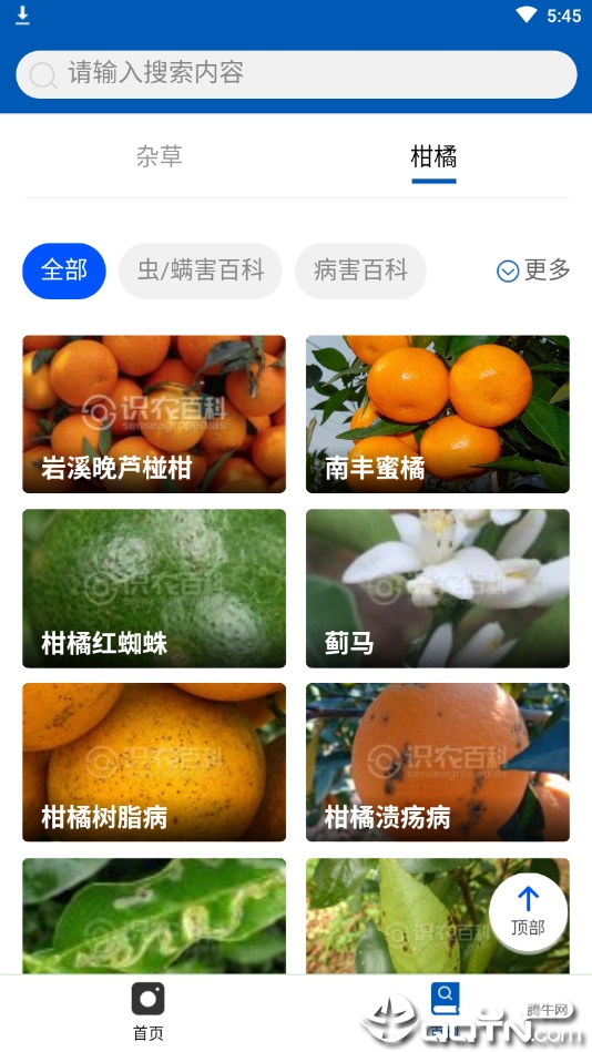 识农  v3.0.5图4