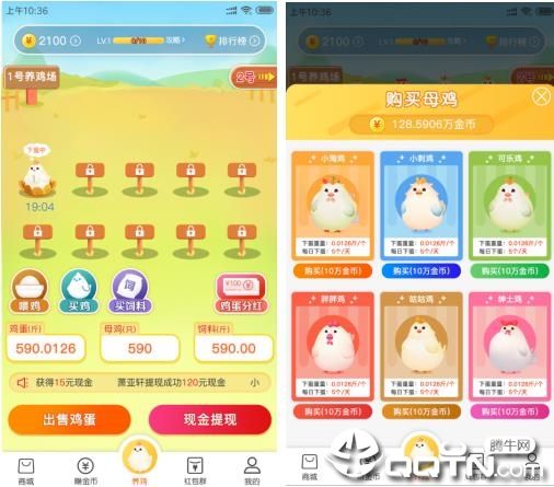 小淘鸡