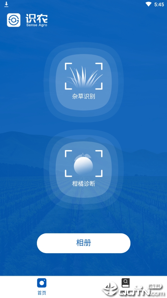 识农