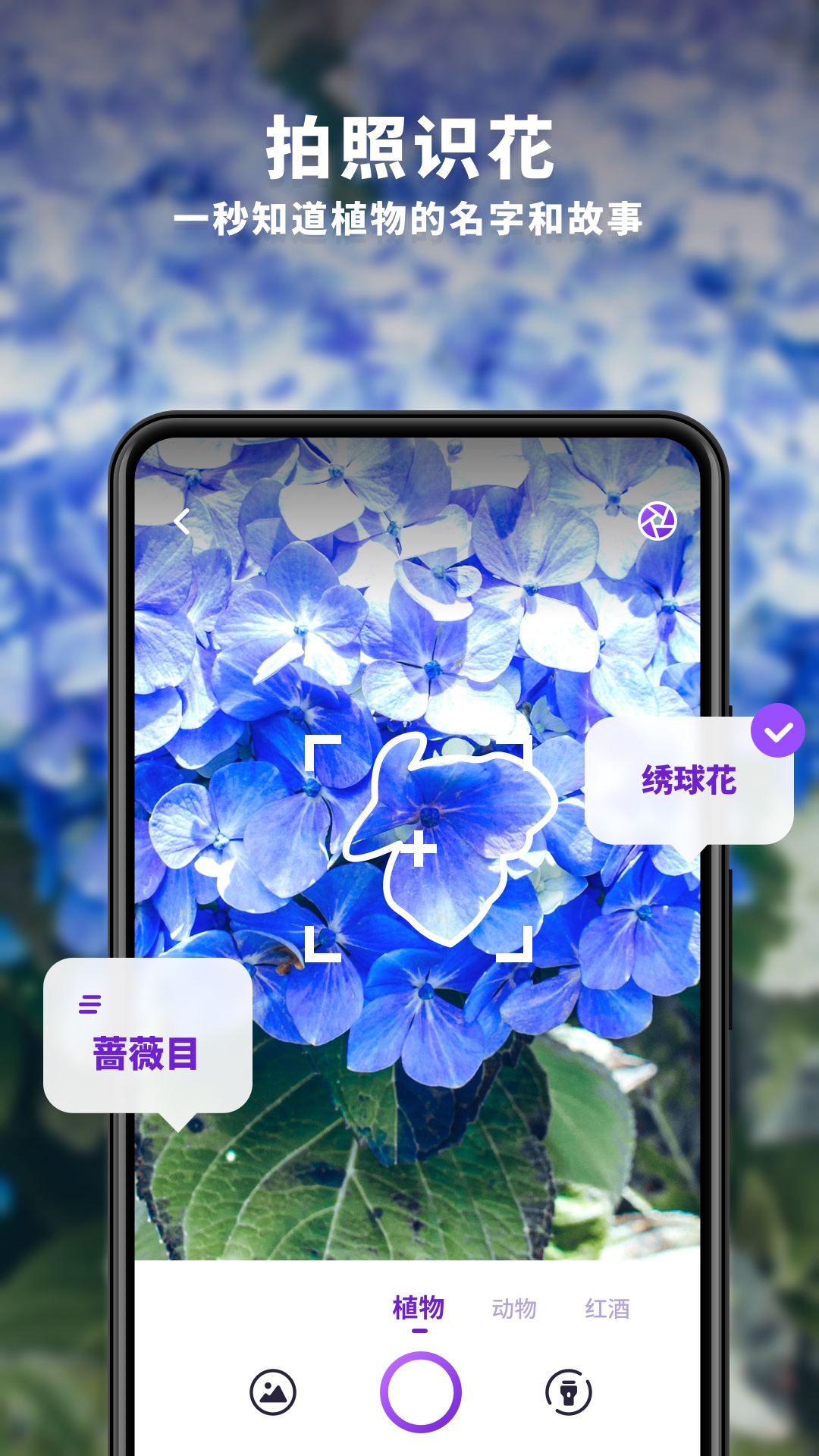 趣扫  v1.0.0图2