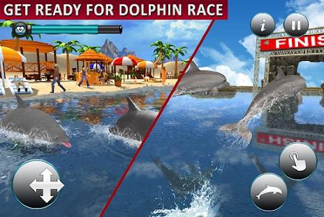 Dolphin