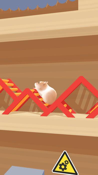 Hamster