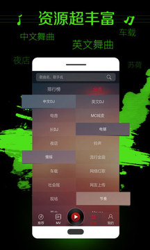 土嗨DJ