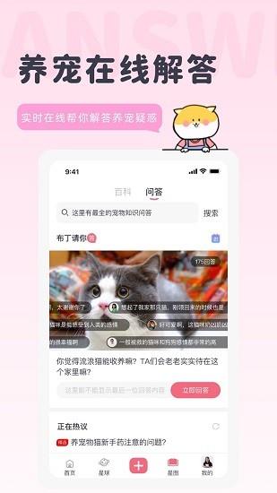 宠布丁官方版
