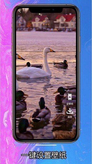 简约壁纸  v1.0.4图3