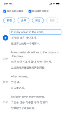 翻外字幕  v1.1.0图2
