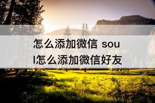 怎么添加微信 soul怎么添加微信好友