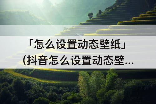 「怎么设置动态壁纸」(抖音怎么设置动态壁纸)