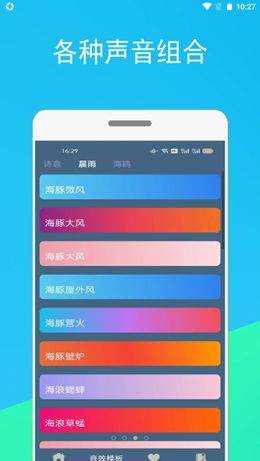 蚂蚁睡眠