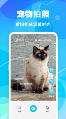 猫语翻译pet  v4.1.0图3