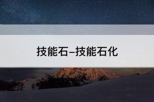 技能石-技能石化