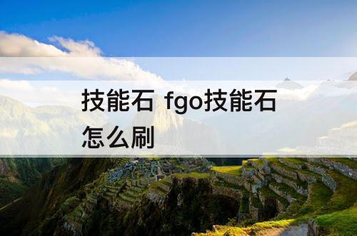 技能石 fgo技能石怎么刷