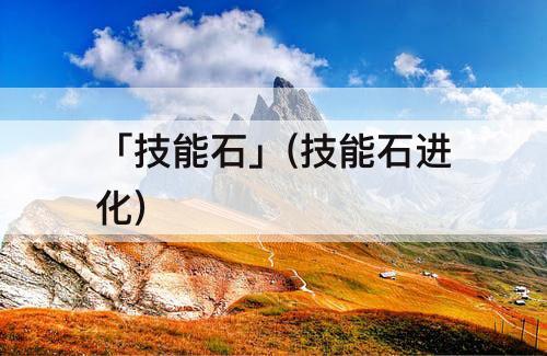 「技能石」(技能石进化)