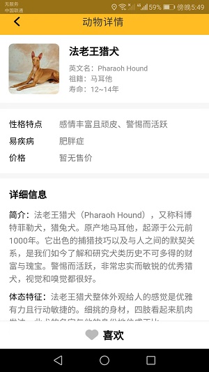 口袋乐看短剧app  v1.6.0图3