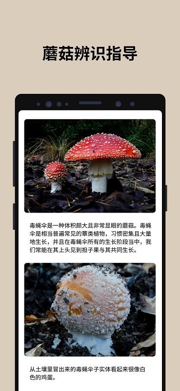 蘑菇识别2023  v2.8.13图3