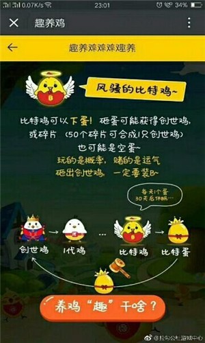 趣养鸡手机版