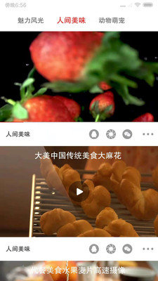 乐看点赚钱2024
