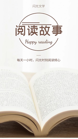 闪光文学安卓版