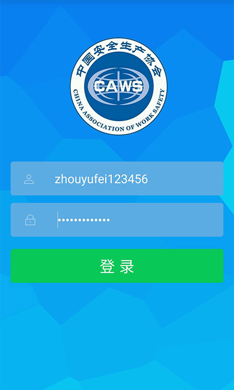 安全伙伴