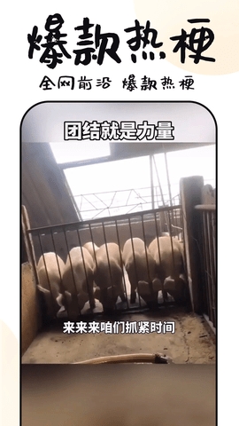 3分钟短剧app