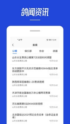 青鸽网免费版  v3.6.3图1