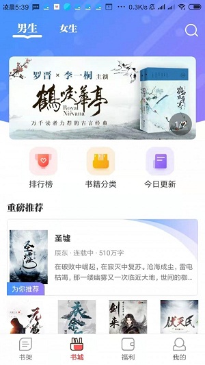 雪枫2024