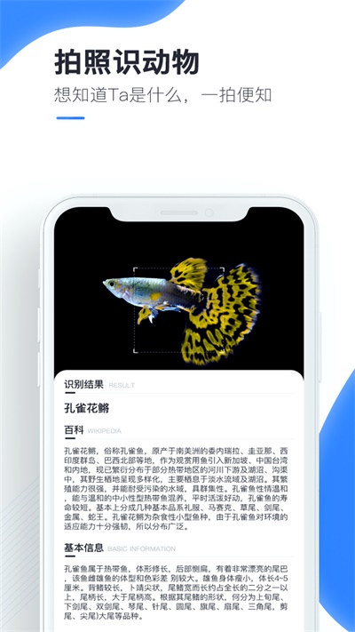 百科扫描王下载安装手机版官网免费  v1.0.0图1