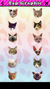 catwang美图  v3.2图4