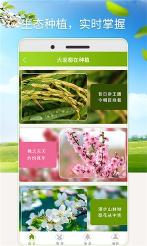 淘气米  v1.0图2