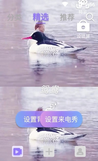 视频铃声来电秀软件  v2.2.0图3