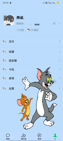 vx主题美化包免费链接iOS  v2.0.4.3图2