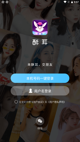 酥耳交友免费版