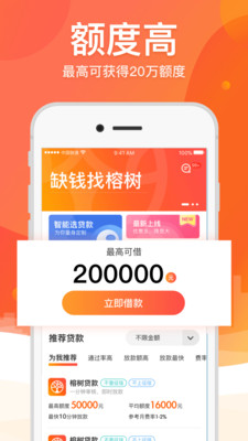 霹雳猫贷款安卓版  v1.0图1