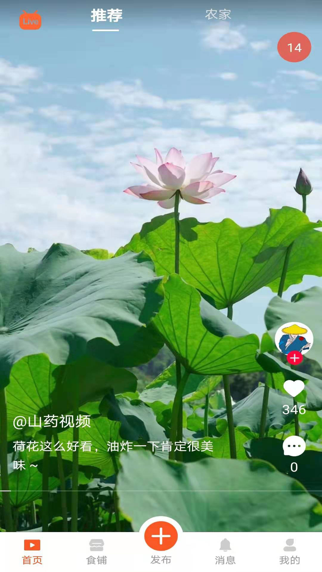 食客江湖官网