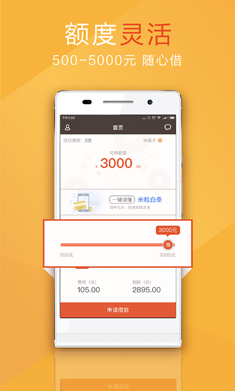 米粒白条