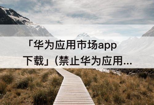 「华为应用市场app下载」(禁止华为应用市场APP下载)