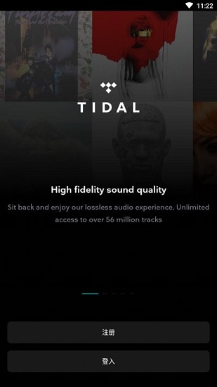 tidal音质