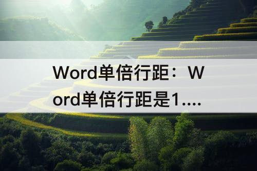 Word单倍行距：Word单倍行距是1.0还是1.5