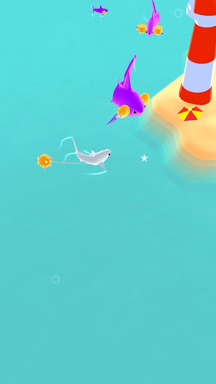 鲨鱼极致吞噬2024  v1.0图1