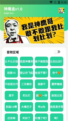 神鹰盒8.0最新版下载安装苹果手机  v7.0图3