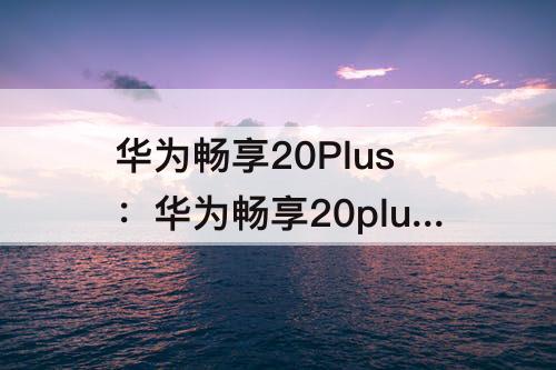 华为畅享20Plus：华为畅享20plus配置参数