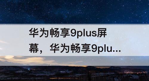 华为畅享9plus屏幕，华为畅享9plus屏幕是什么屏