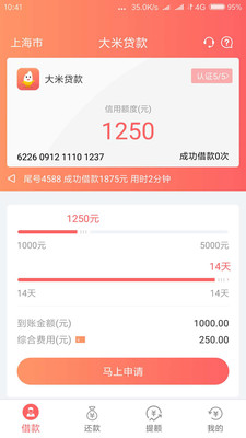 大米贷款2024