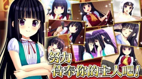 绝对君主小夜大人手机版  v0.0.1图3