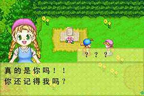 开罗牧场物语配种  v1.2图2